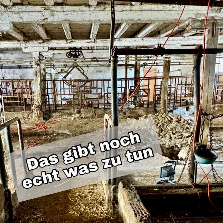 naja, und hier muss recht viel raus bevor Bagger rein können