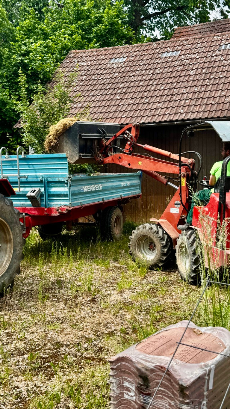 mit tatkräftiger Unterstützung von Marco verschwindet unser altes Heu