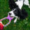 Thumbnail: Bow Wow Baskets Doggy Fun Basket