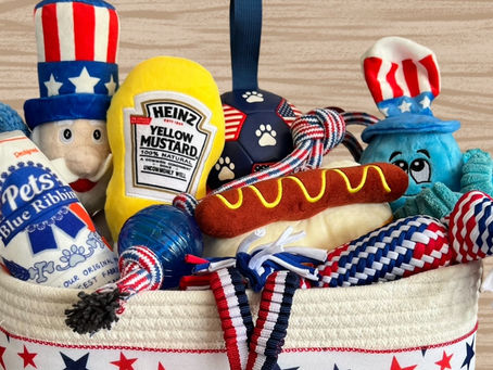 Celebrate Independence Day with the Bow Wow Baskets 4th of July Themed Basket