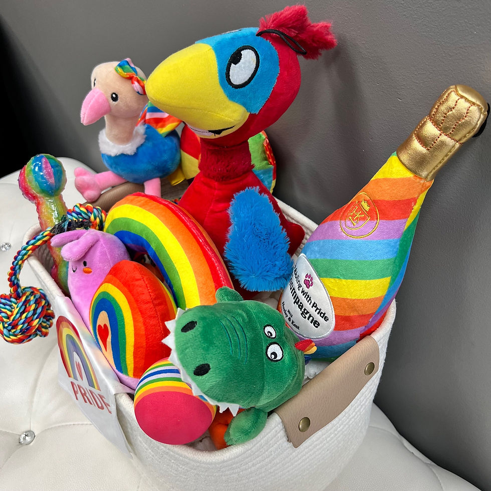 Thumbnail: Pride Basket with white bandana with rainbow heart and word Pride, rainbow rope tugs, rainbow call, 10 pride toys and texture
