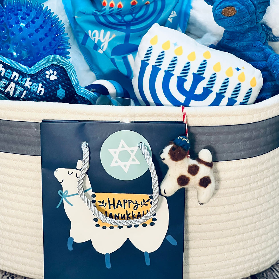 Thumbnail: Bow Wow Baskets Doggy Toy Hanukkah Basket