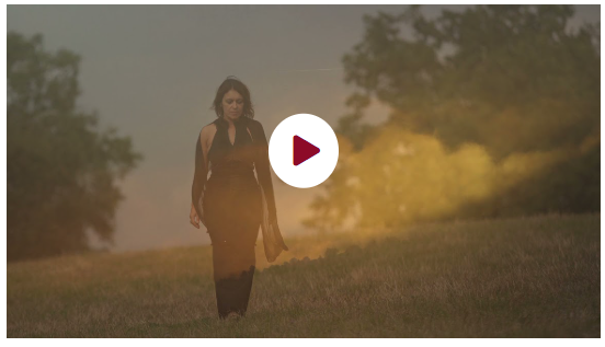 CAMINS D'OCCITANIA / Chemins d'Occitanie