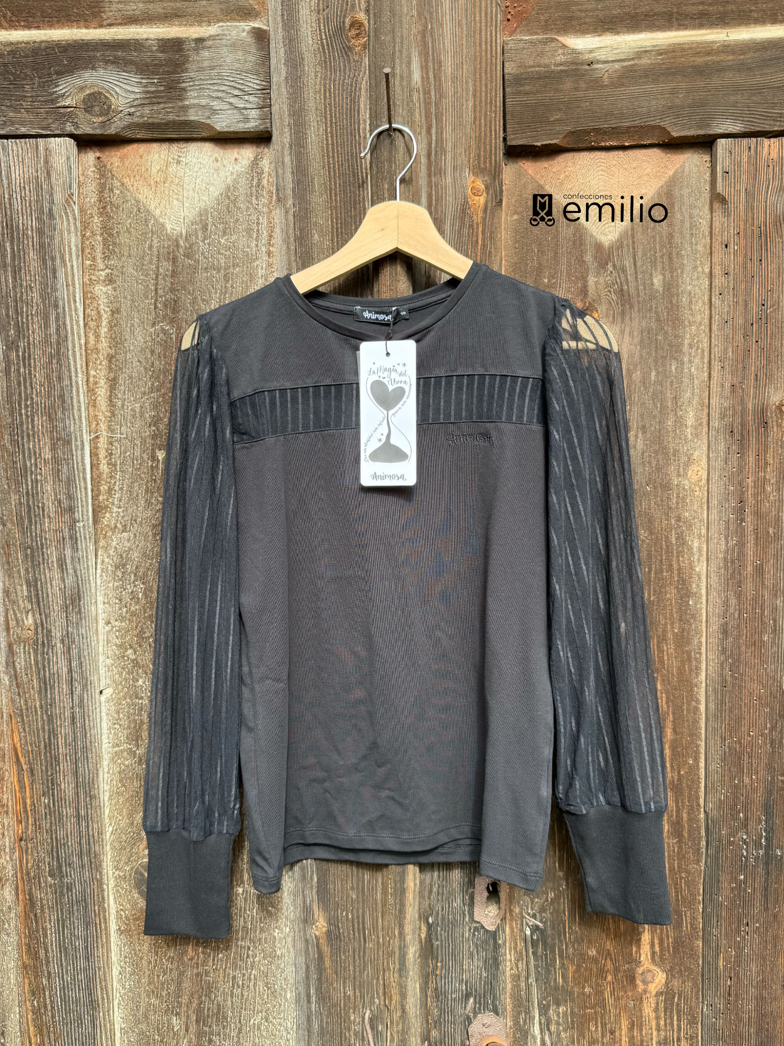 Blusa