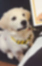 494572328_1653101132243741_4791188309358454135_n_edited