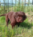 chunk4_edited