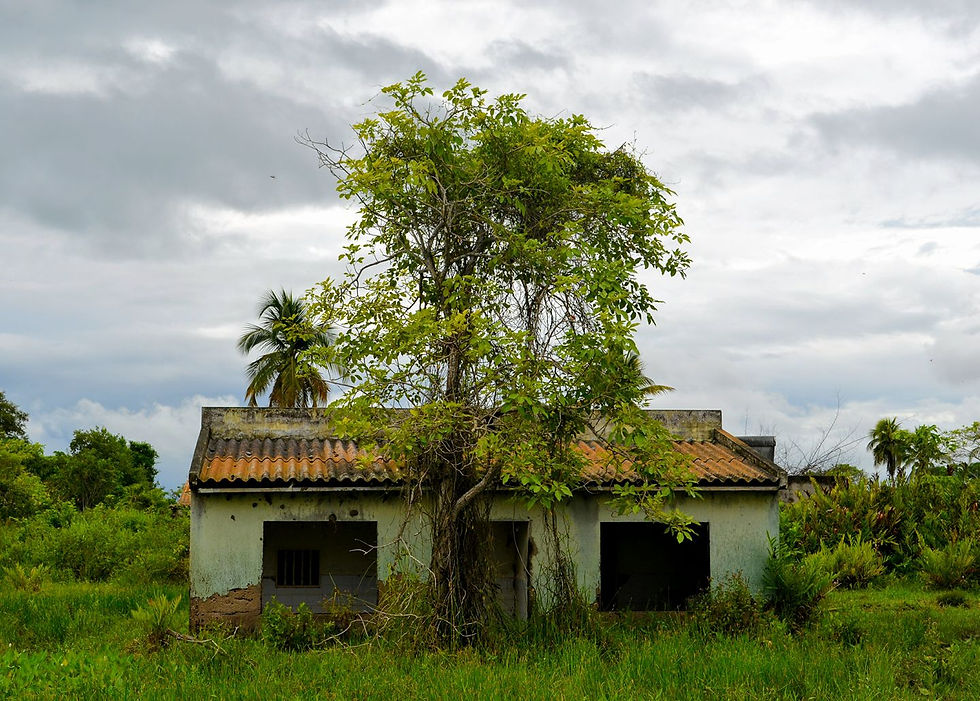 Memorias Palafíticas