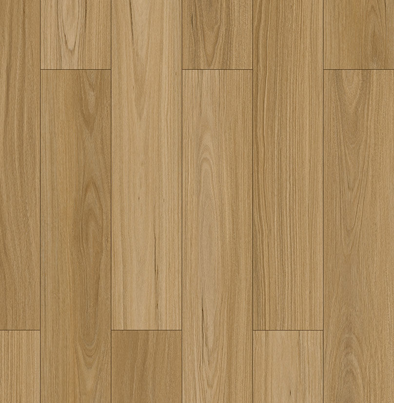 Blackbutt