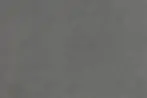 Seal Grey