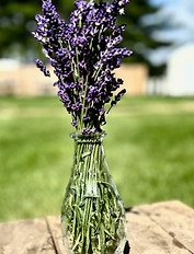 Lavender Vase.jpg