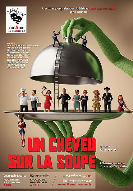 cheveu sur la soupe _.jpg