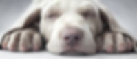 AdobeStock_168454885.jpeg