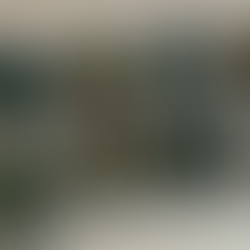 Vibrational Healing No.8 Dendritic Agate