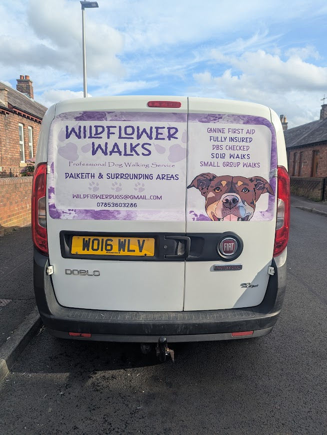 Wildflower Walks branded van with dog illustration and text