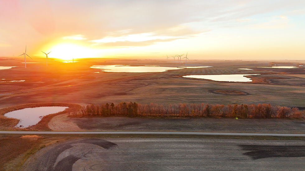 DJI_20241028191615_0198_D.JPG