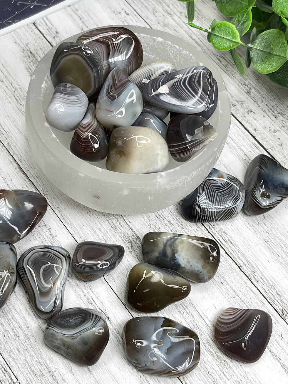 Botswana Agate Tumbles (Grounding and Protecting)