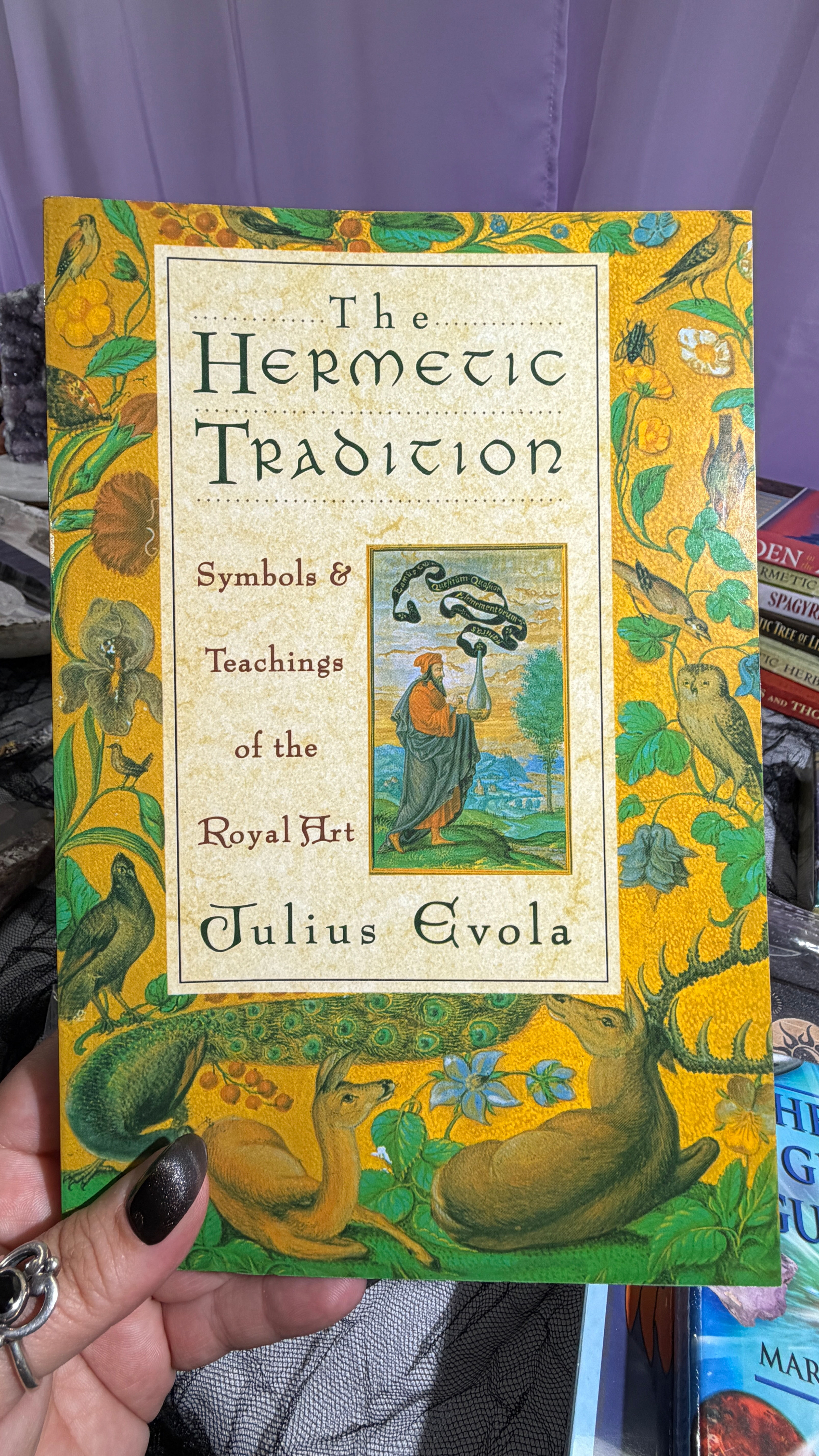 Hermetic Tradition byJulius Evola