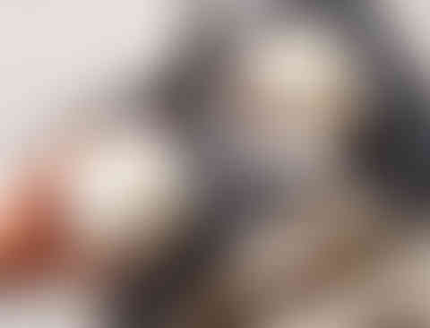 8356 Franzese Photography3578 copy_edited.jpg