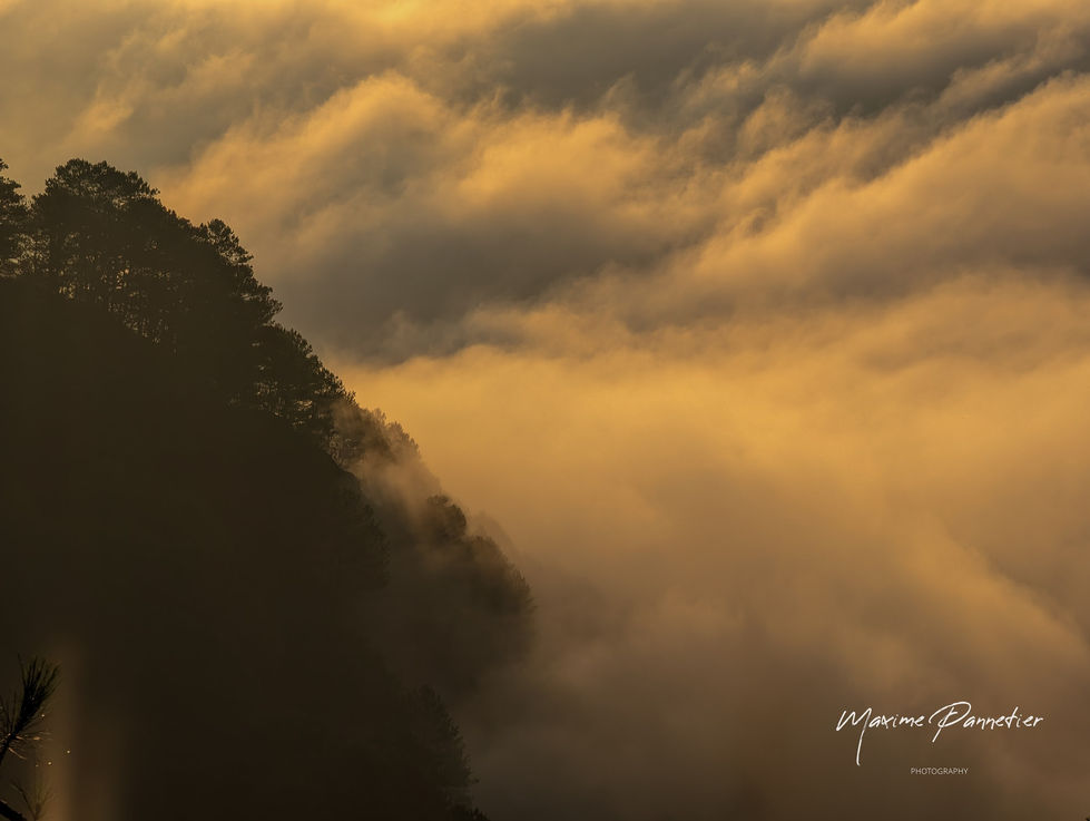 Philippines 2023-020