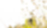 68_edited_edited.jpg