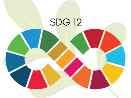 Responsible Production and Consumption Patterns in Peru, Colombia and Switzerland