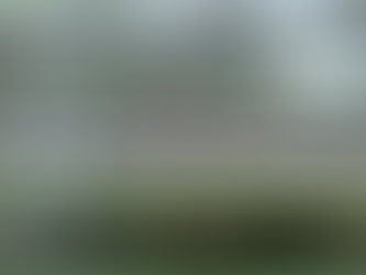 Prized Spirit: Not So Spirited! Three Favourite Reads and 'Beyond the Limits'!