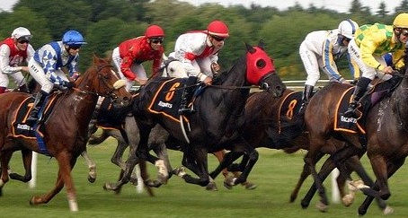 'The Decision' and It's a Fluke's Race!