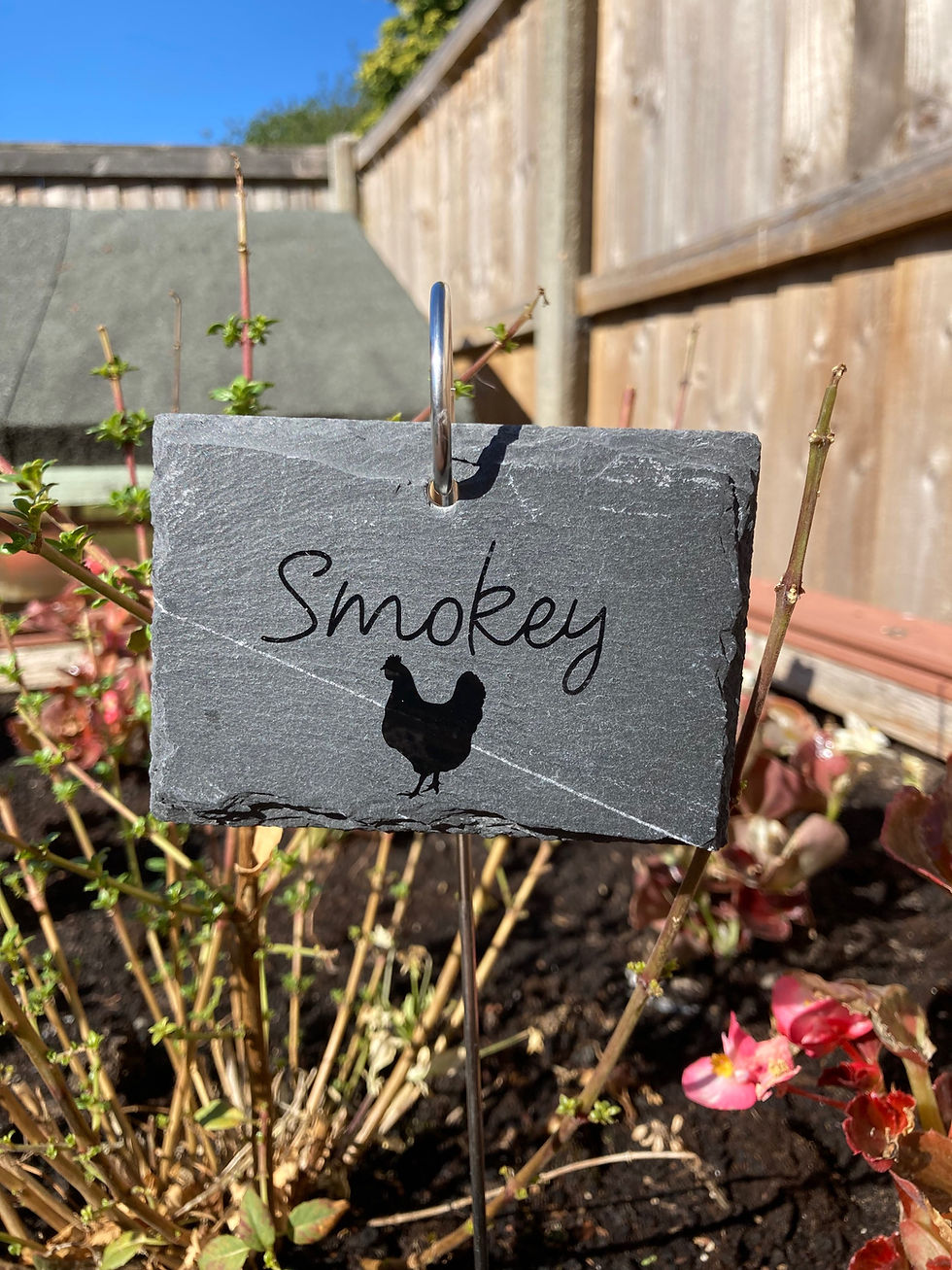 Thumbnail: Pet Memorial Plaque, Unique Slate Grave Marker