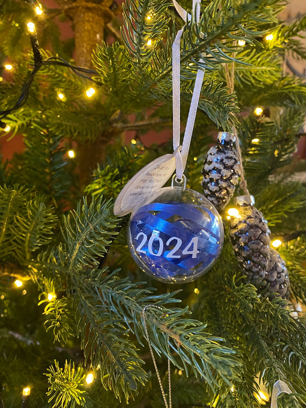 Thumbnail: 2025 Ribbon Bauble Keepsake