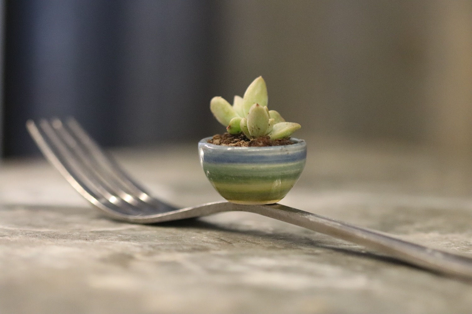 Itty bitty blue bowl
