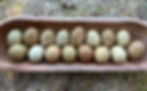 Thumbnail: Olive Egger Chicks