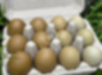 Thumbnail: 6 Olive Egger Eggs (1/2 dozen+1)
