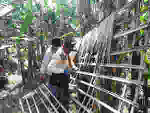 Unknown-1.jpeg