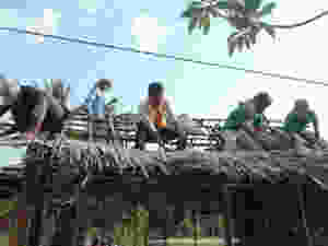 Unknown-10.jpeg