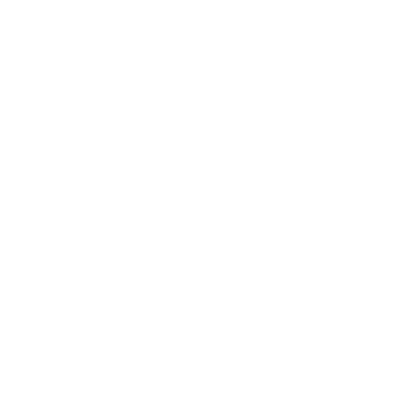 WhiteLight.png