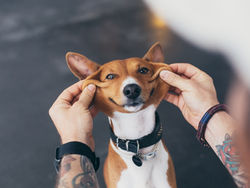 Testeintrag Aktuelles 2