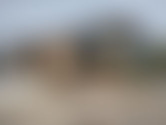 새로운 건물로 이전한 지 1년