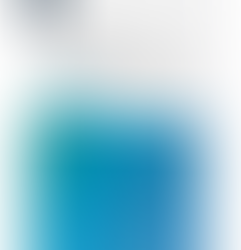 2020년 총대 위원회 (COD) 특별 모임