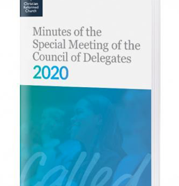 2020년 총대 위원회 (COD) 특별 모임