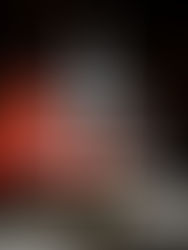 2025년 12월 주요 교단 소식