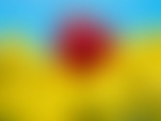 장애가 있는 분들을 환대하는 교회가 되기 위한 실천 30가지