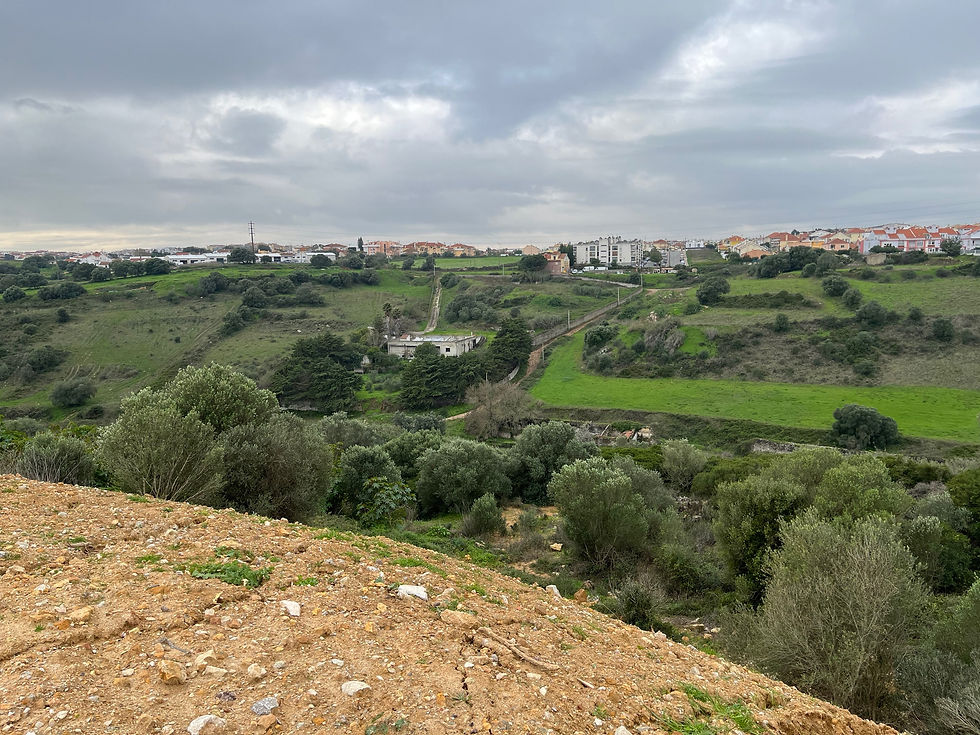 Aterro ilegal da CMO continua por recuperar
