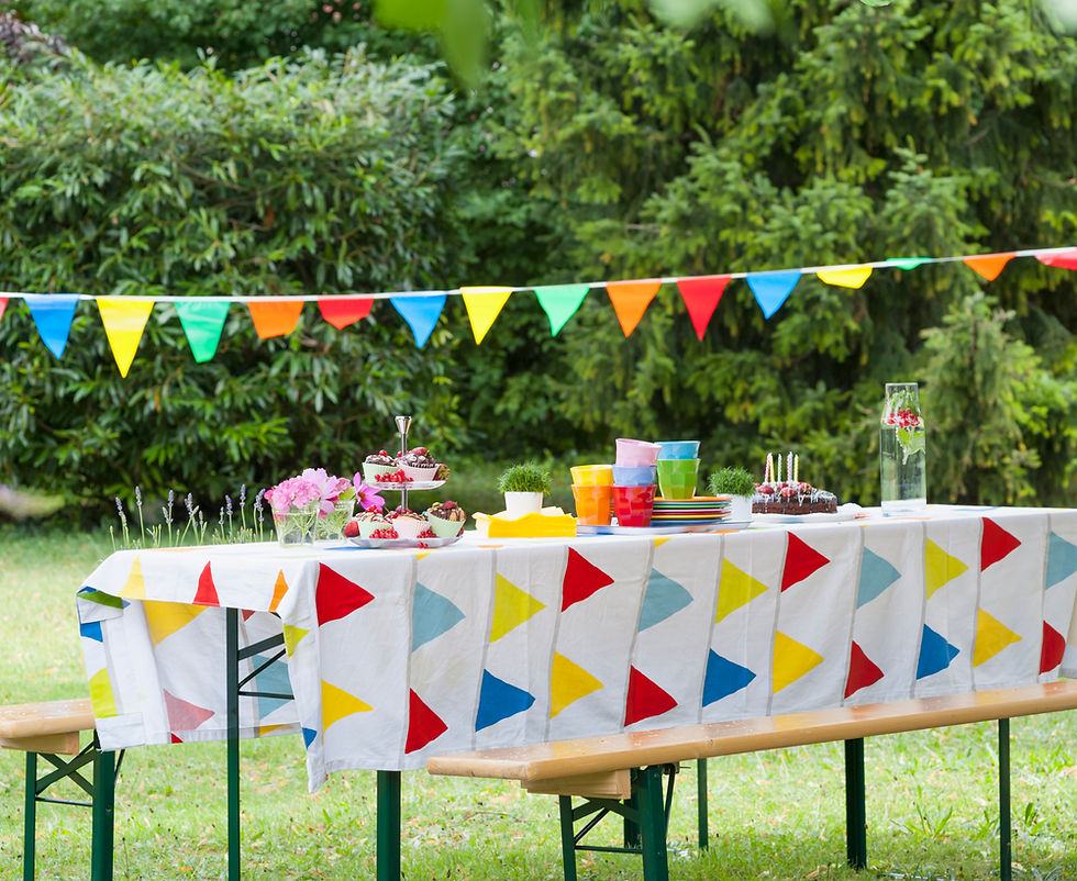 Outdoor Party Table Setup