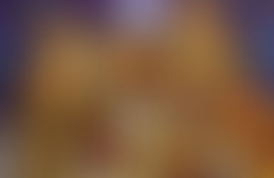 THE NATIVITY OF THE LORD (CHRISTMAS)