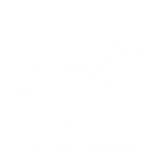 AZ-NP-LogoconTextoBlanco.png