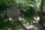 Sig to Blue Spring near Ellington, MO. #573Magazine