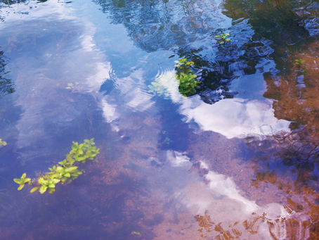 A PERFECT 573 SPRING DAY TRIP