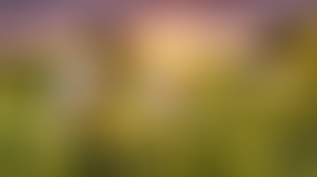 Heritage at Edg-Clif Farms & Winery: 4th of July Celebration in Potosi, Missouri – Ozarks Living History on America’s 250th