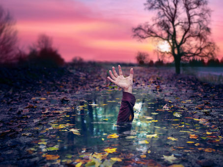 Fall has Fell, now what?
