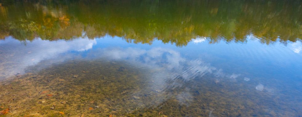 Moonlit pink sky over a tranquil lake, surrounded by autumn trees with red and green foliage, reflecting serenity at twilight.